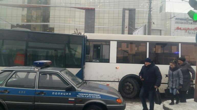 На Заневском столкнулись автобус и троллейбус, пострадали пассажиры
