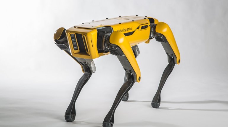 Люди издеваются над роботами-собаками
