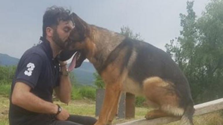 Живодеры отравили собаку, спасшую людей после землетрясения в Италии