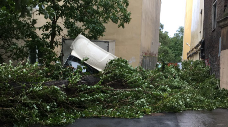 Ветер в Петербурге валит деревья на машины и провода