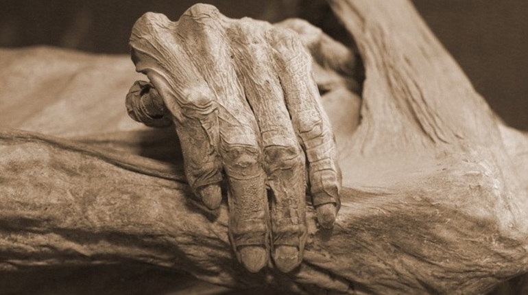 В Нахимовском училище нашли мумифицированный труп