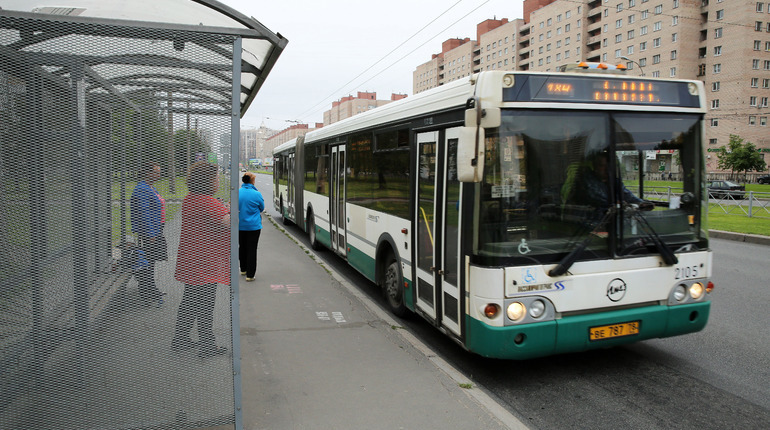 Бугры и метро &#171;Проспект Просвещения&#187; с сентября свяжут автобусы