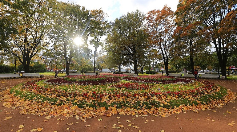 Первый осенний месяц в Петербурге обещает быть теплым