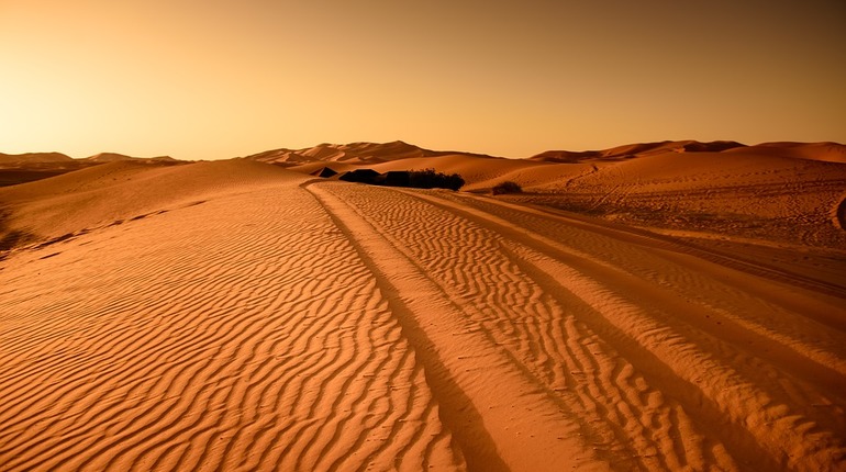 Ученые предлагают озеленить Сахару с помощью &#171;ветряных мельниц&#187;